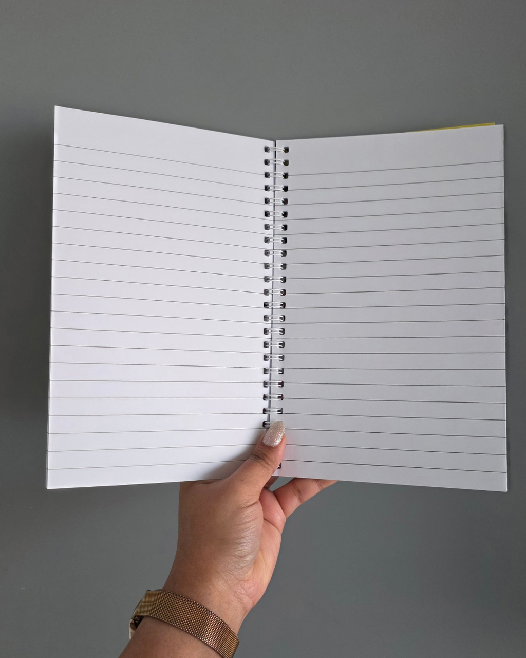 Spiral Notebooks Featuring Original Paintings