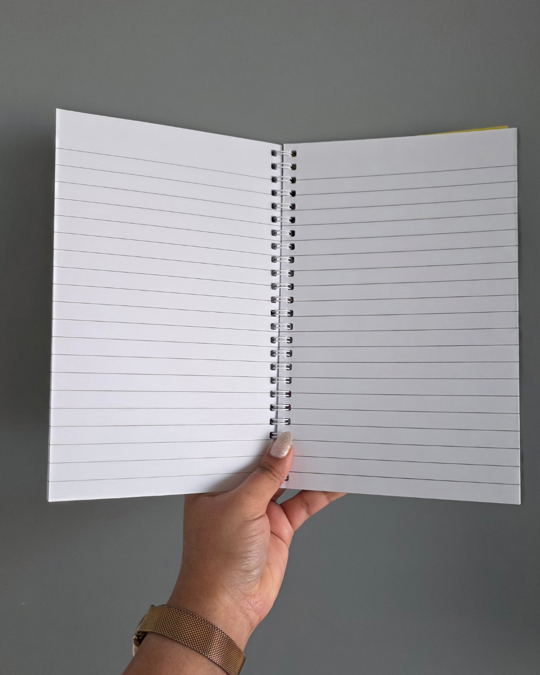 Spiral Notebooks Featuring Original Paintings